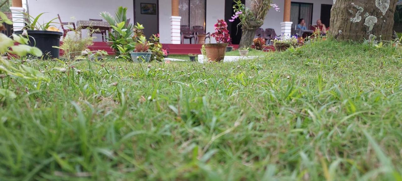 Marari Phoenix Beach Homestay Марарікулем Екстер'єр фото