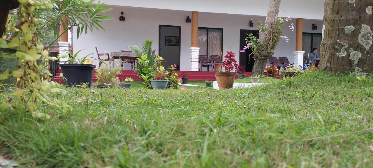 Marari Phoenix Beach Homestay Марарікулем Екстер'єр фото