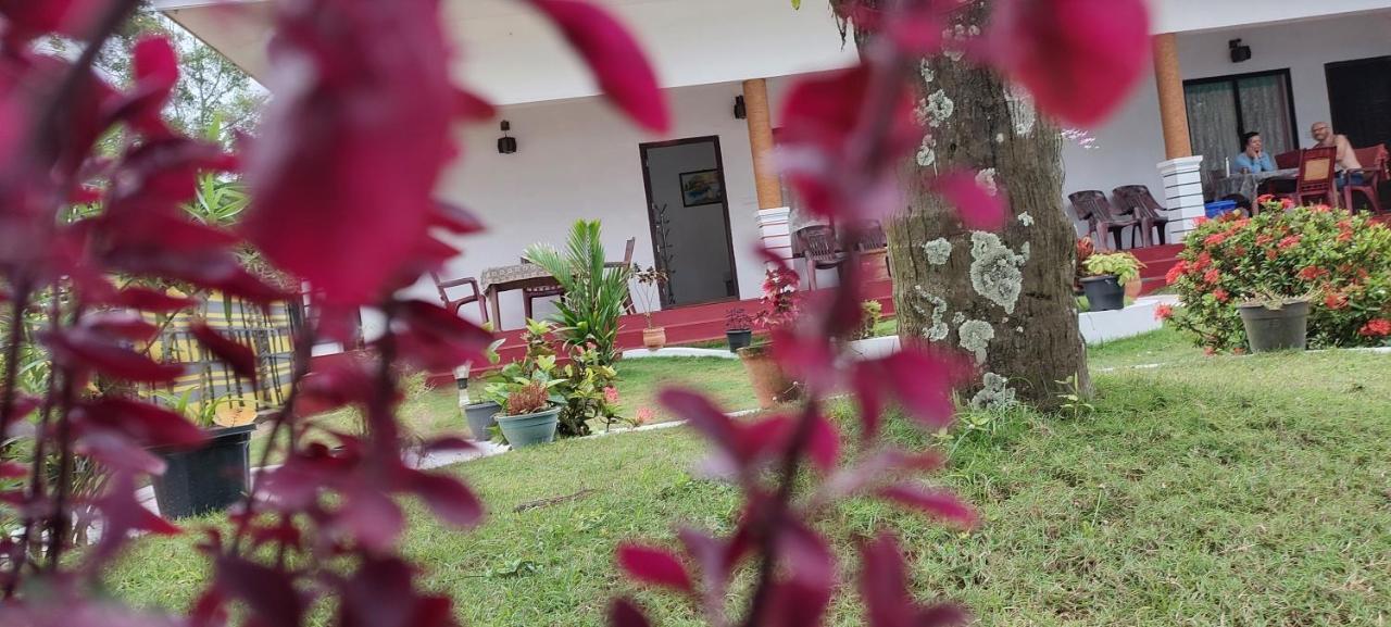 Marari Phoenix Beach Homestay Марарікулем Екстер'єр фото